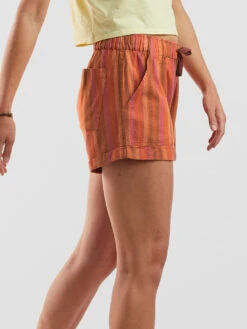 Baja Shorts 3" -Title Nine Sales 112527 03