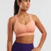 Handful Plus Sports Bra 1 Handful Plus Sports Bra -Title Nine Sales 321025 01